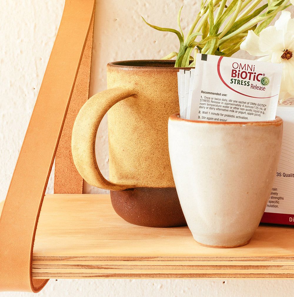 Ayla's Current Offer