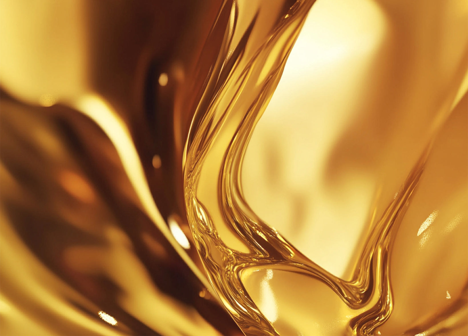 Ayla's Current Offer